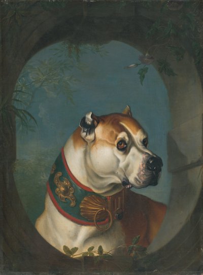 Retrato de um cachorro de Unbekannt Unbekannt
